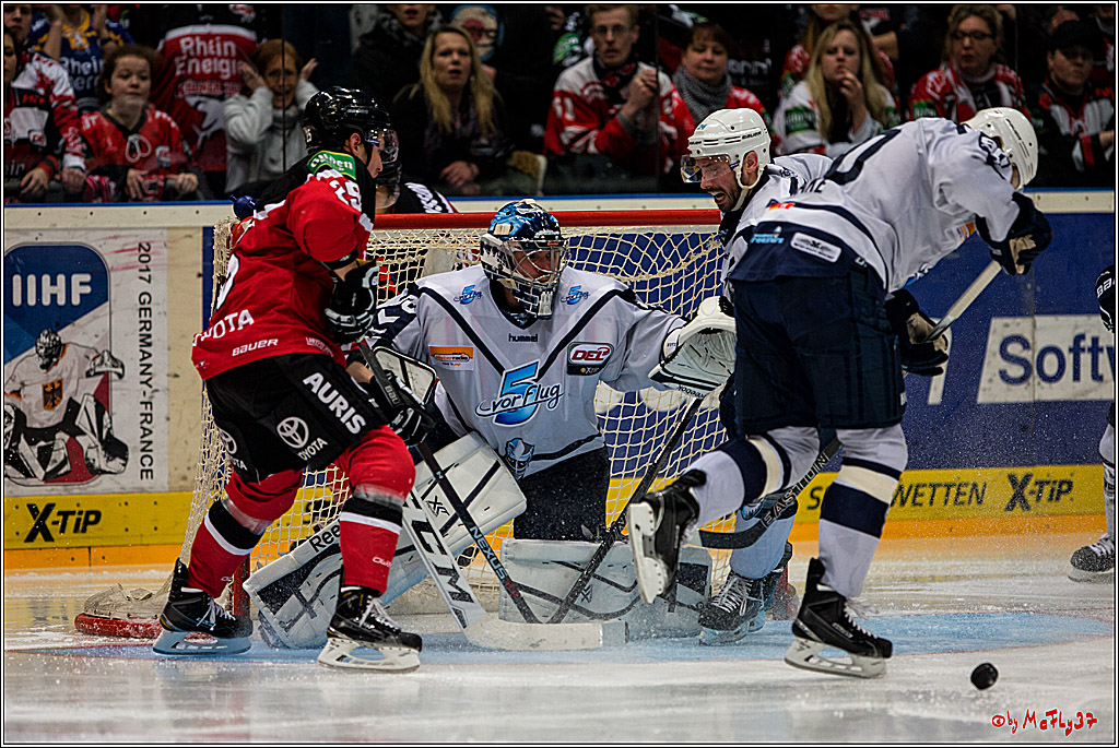 02 DICK0308